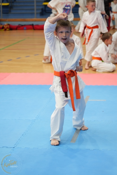 ABiRO-SCUP-13
