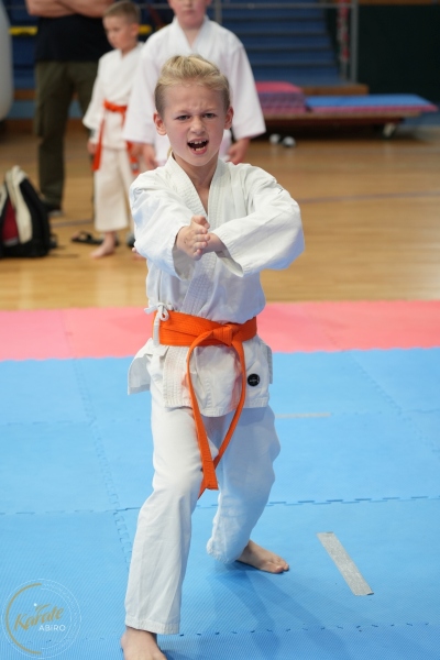 ABiRO-SCUP-14
