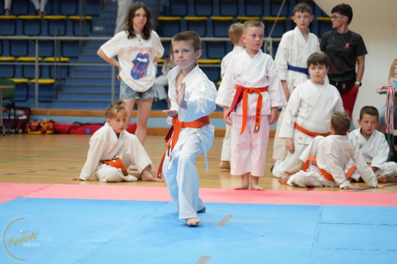 ABiRO-SCUP-15