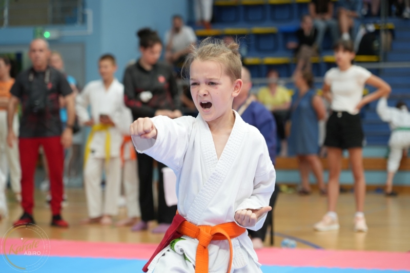 ABiRO-SCUP-16