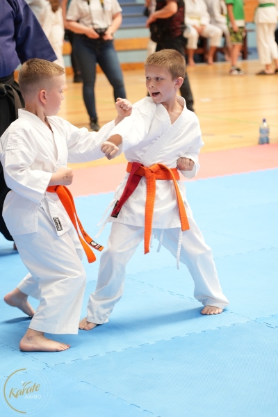 ABiRO-SCUP-17