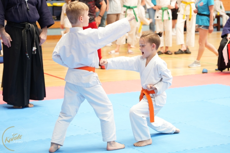 ABiRO-SCUP-20
