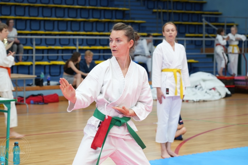 ABiRO-SCUP-27