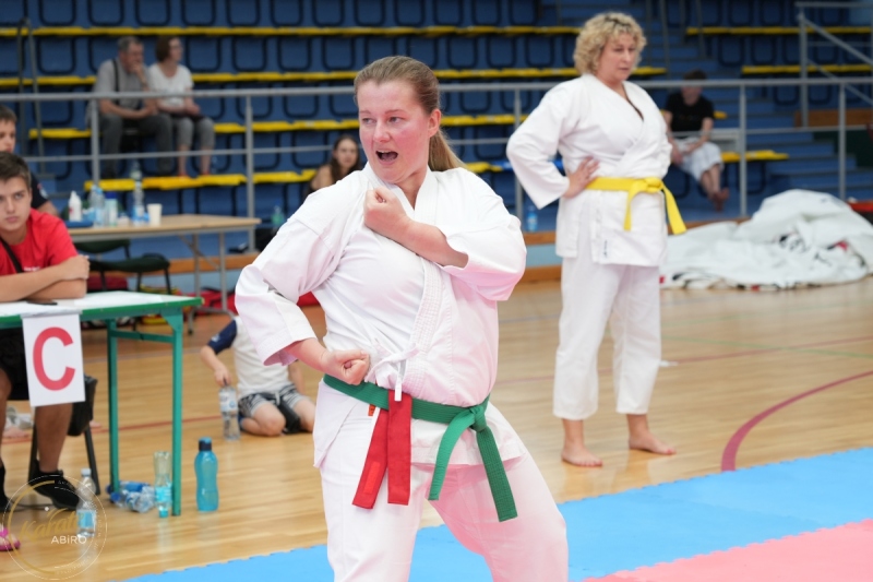 ABiRO-SCUP-28