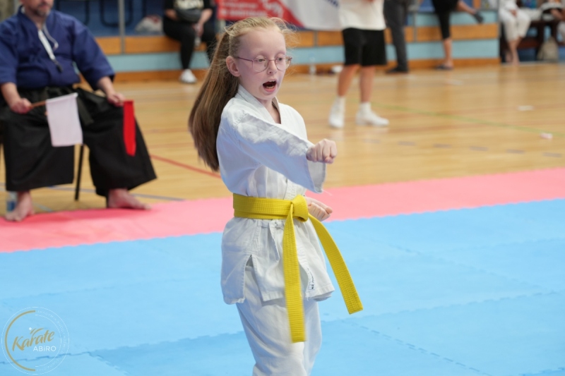 ABiRO-SCUP-30