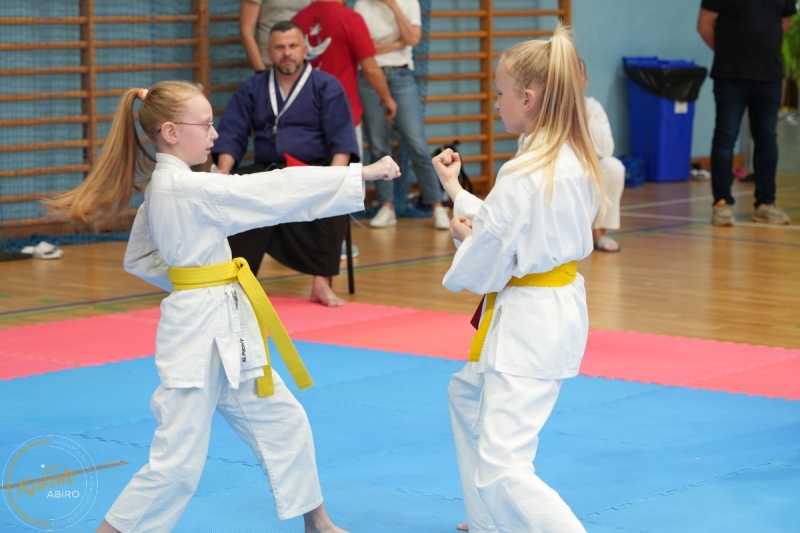 ABiRO-SCUP-31