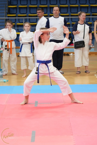 ABiRO-SCUP-34