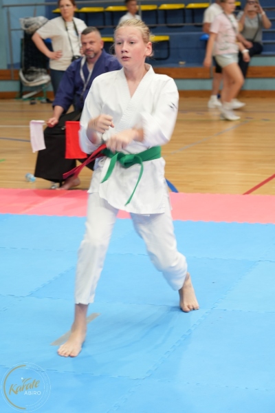 ABiRO-SCUP-39