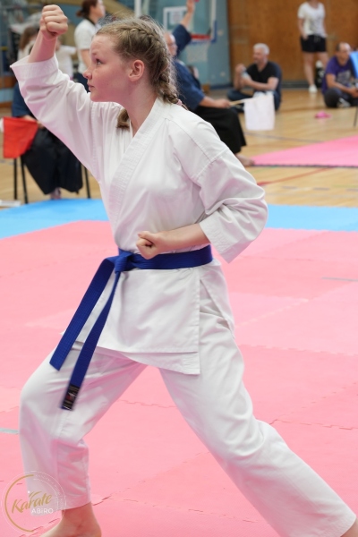 ABiRO-SCUP-40