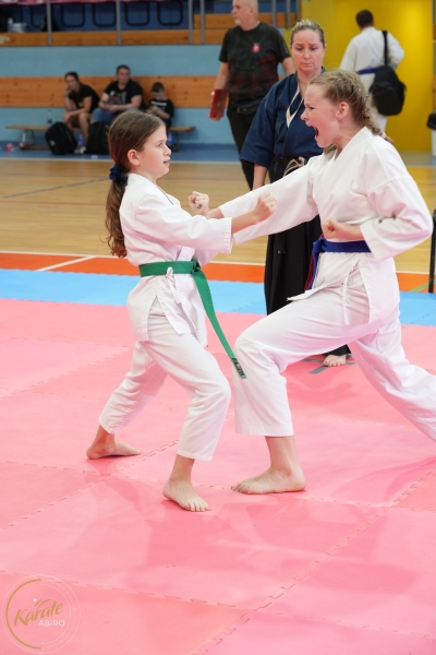 ABiRO-SCUP-50