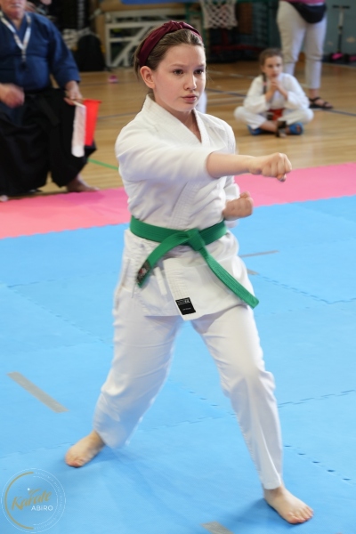 ABiRO-SCUP-53
