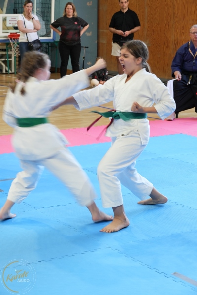 ABiRO-SCUP-60