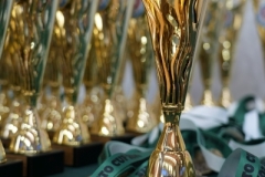 ABiRO-SCUP-01