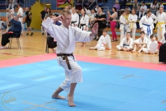 ABiRO-SCUP-02