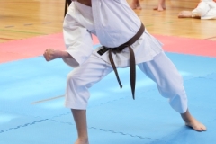 ABiRO-SCUP-03