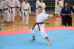 ABiRO-SCUP-04
