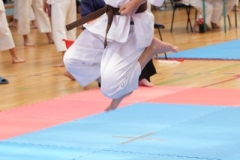 ABiRO-SCUP-06