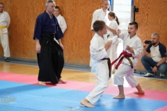 ABiRO-SCUP-11