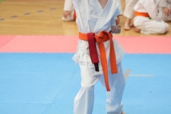 ABiRO-SCUP-13