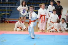 ABiRO-SCUP-15