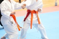 ABiRO-SCUP-17