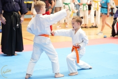 ABiRO-SCUP-20