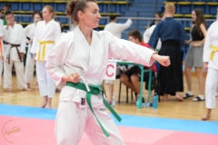 ABiRO-SCUP-25