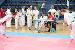ABiRO-SCUP-26