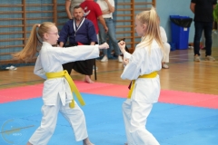 ABiRO-SCUP-31