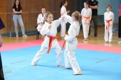 ABiRO-SCUP-33