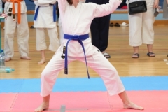 ABiRO-SCUP-34