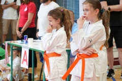 ABiRO-SCUP-35