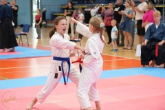 ABiRO-SCUP-37