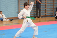 ABiRO-SCUP-38