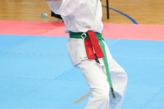 ABiRO-SCUP-41