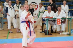 ABiRO-SCUP-43