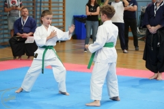 ABiRO-SCUP-48