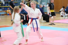 ABiRO-SCUP-49