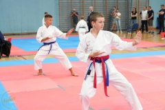 ABiRO-SCUP-51