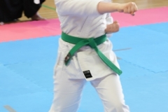 ABiRO-SCUP-53