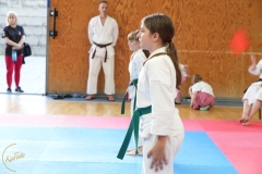 ABiRO-SCUP-54