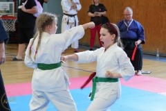 ABiRO-SCUP-58