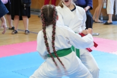 ABiRO-SCUP-59