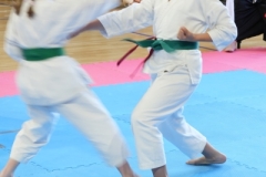 ABiRO-SCUP-60