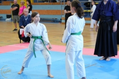 ABiRO-SCUP-61
