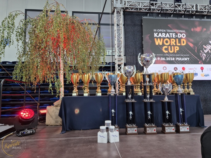 ABiRO-III_WorldCUP-14