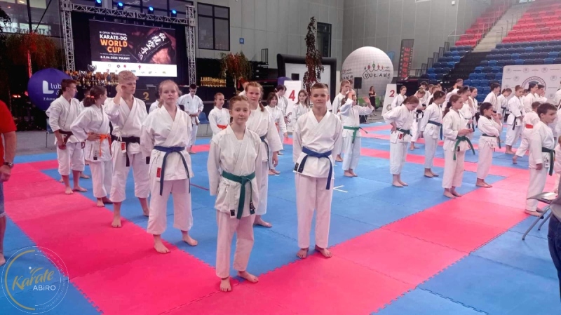 ABiRO-III_WorldCUP-17