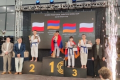 ABiRO-III_WorldCUP-04