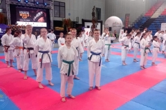 ABiRO-III_WorldCUP-17