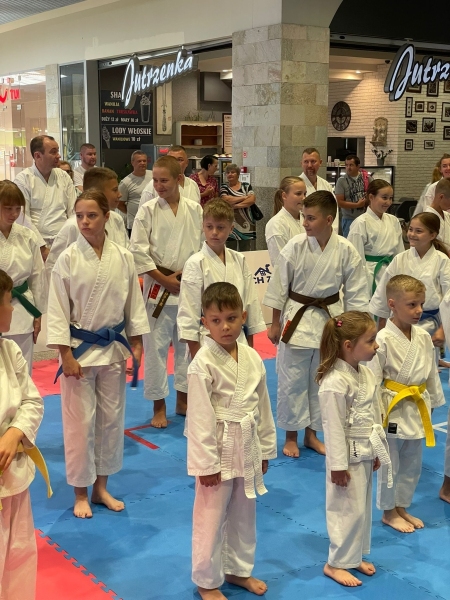 ABiRO-YCUP-19
